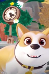 小柯基的四种玩法