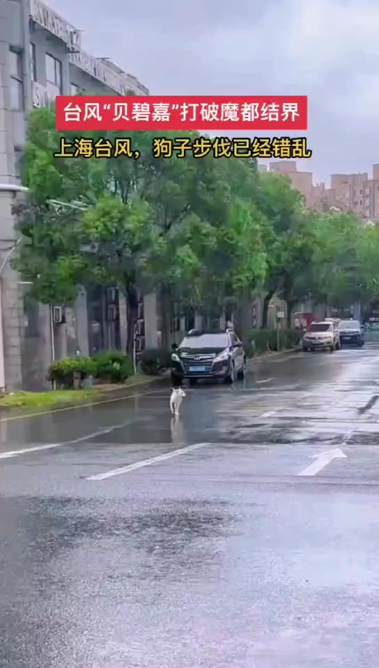 这台风给力截图