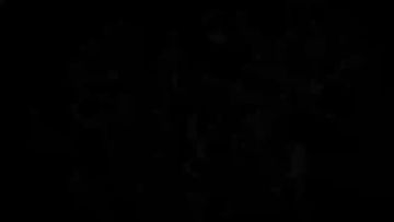 《咒术回战幻影夜行》西宫桃角色PV&声优公开啦