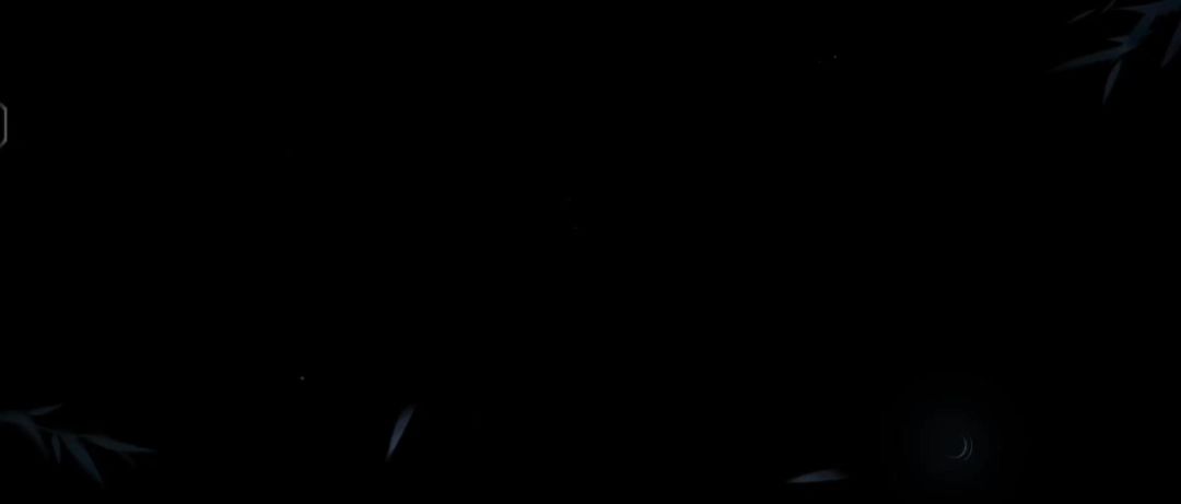 video-4426072
