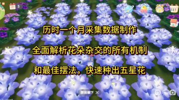全面解析花朵杂交的所有机制和最佳摆法，快速种出五星花