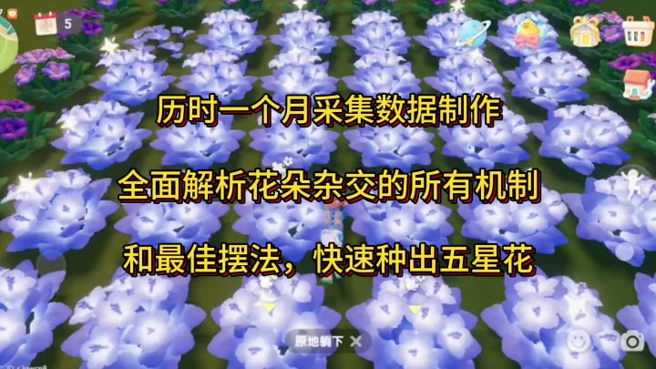 全面解析花朵杂交的所有机制和最佳摆法,快速种出五星花截图