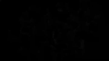 《咒术回战幻影夜行》禅院真依PV&声优