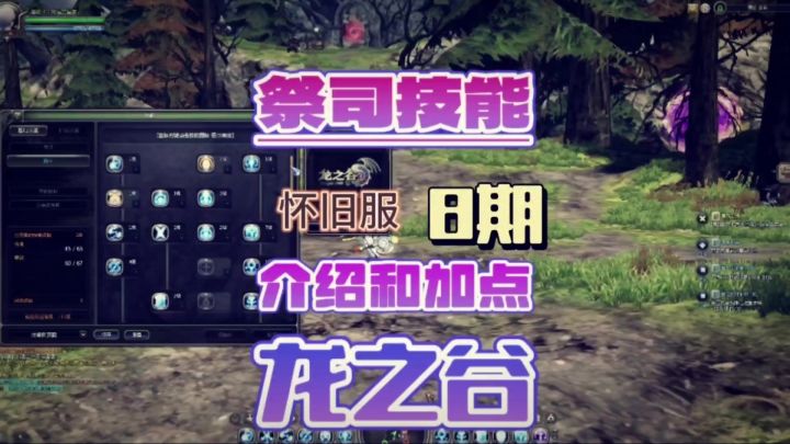 龙之谷怀旧服祭司的技能说明以及加点展示截图