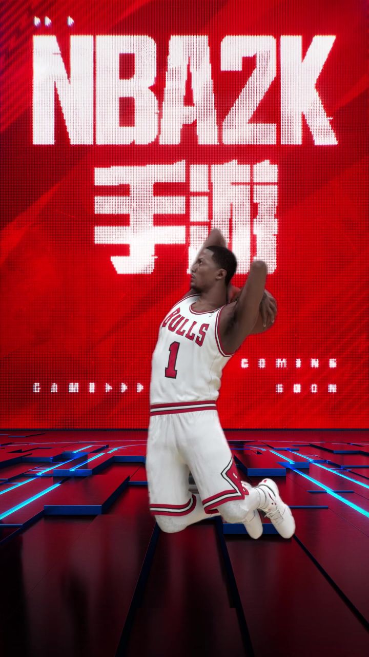 罗斯正式宣布退役截图