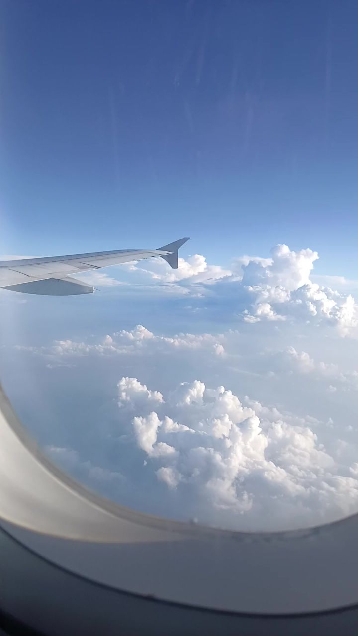 飞机✈️截图