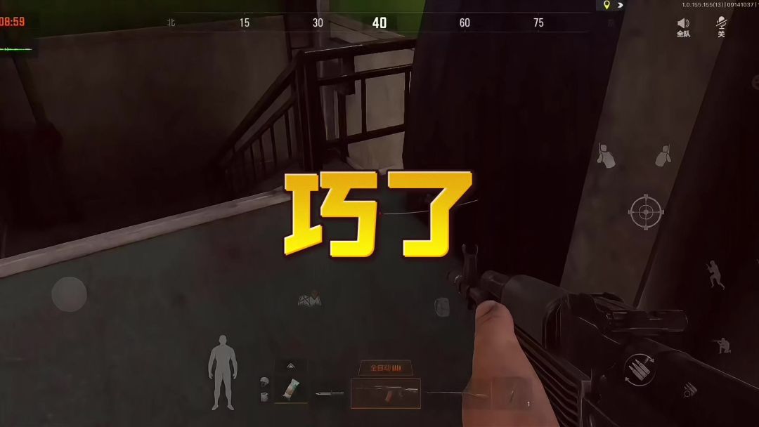 video-4446373