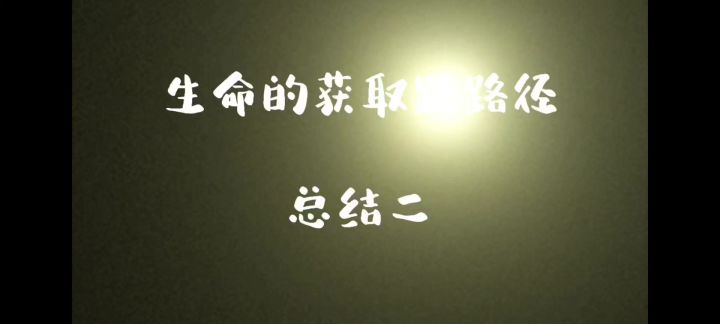 生命的获取路径总结二截图