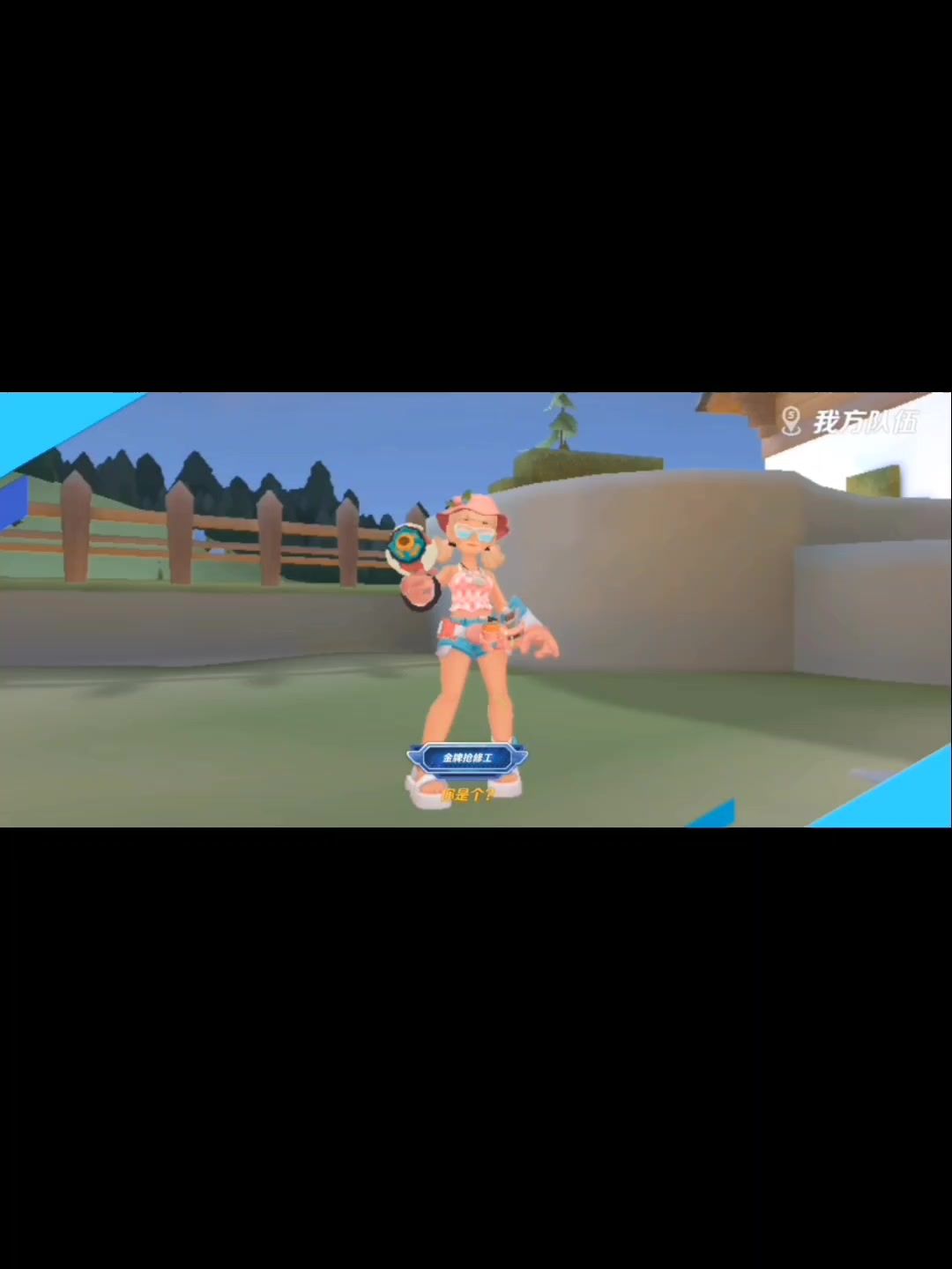 video-4448171
