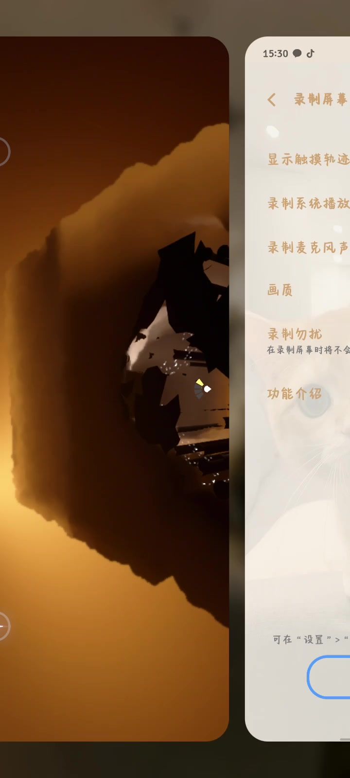 video-4448710