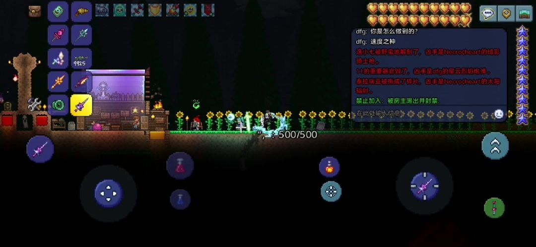 video-4449182