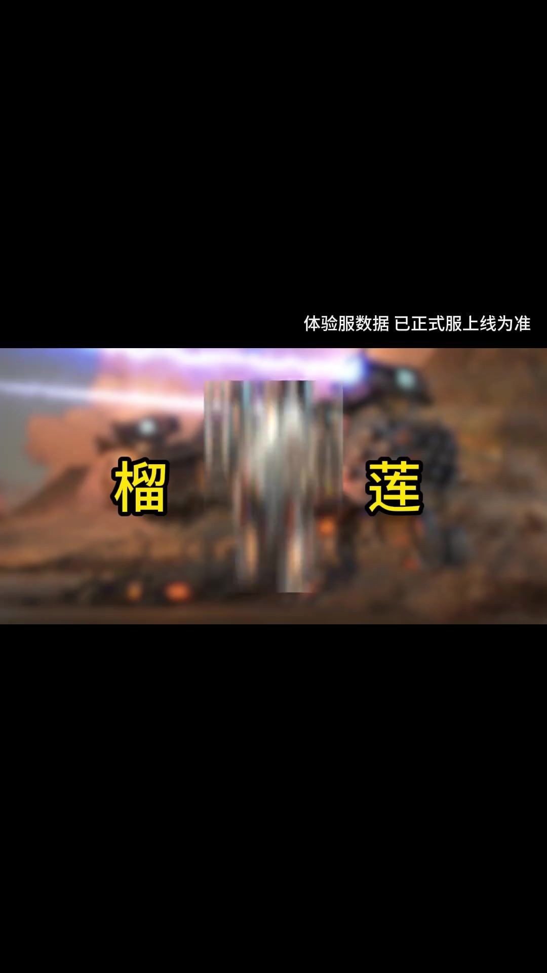 video-4449923