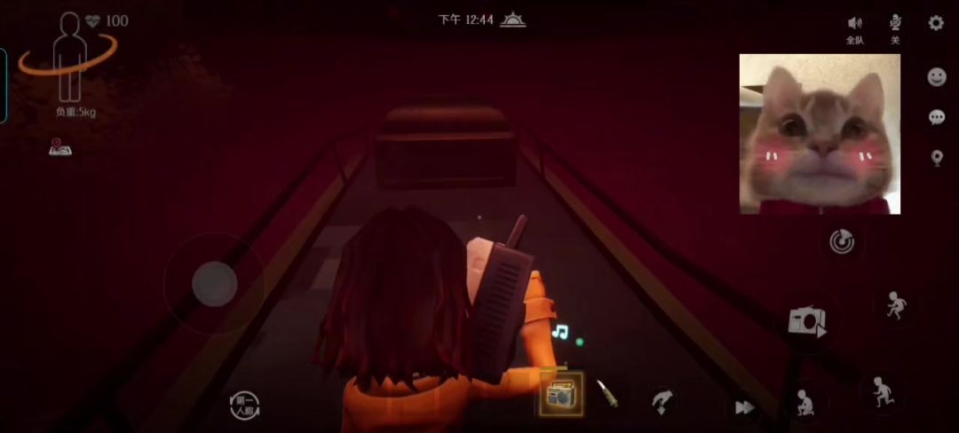 video-4454237