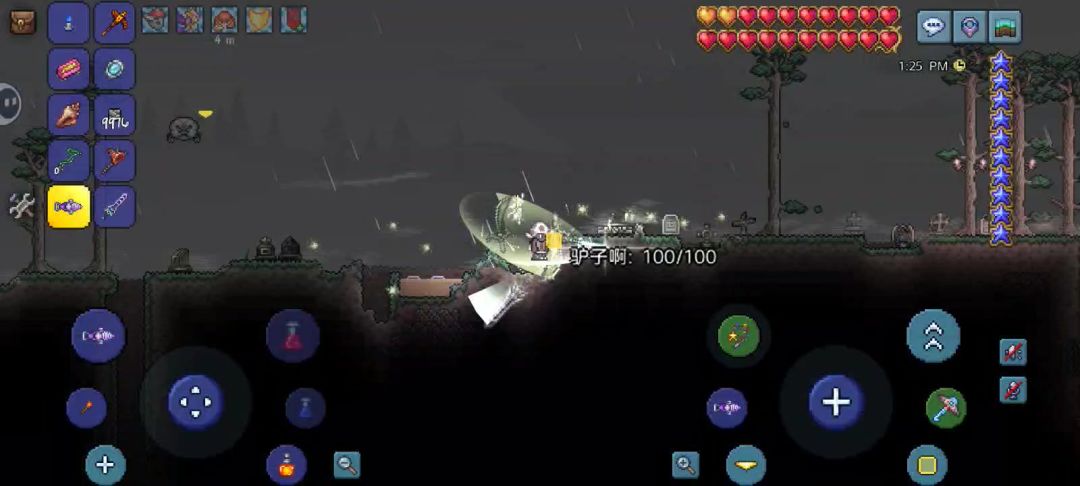 video-4454478