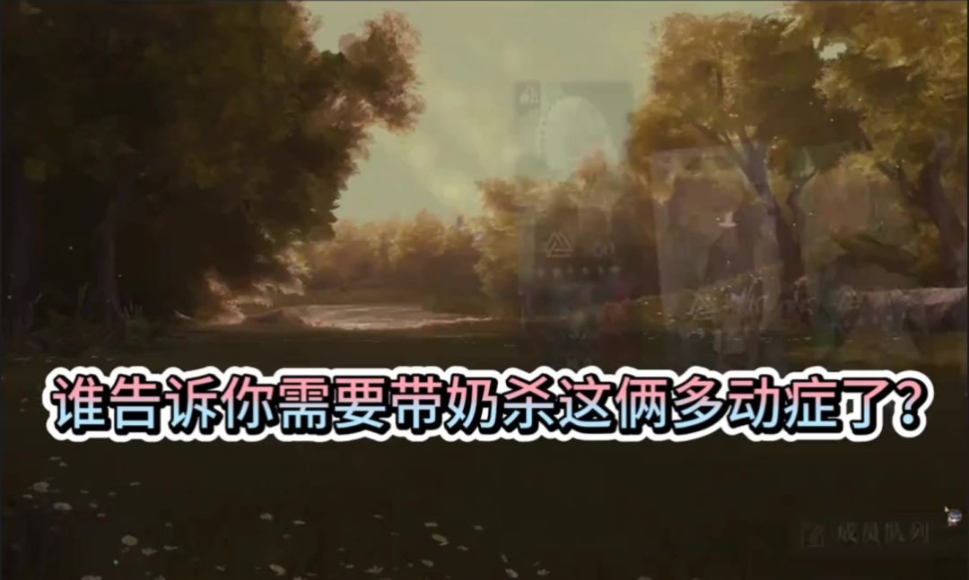 video-4455645