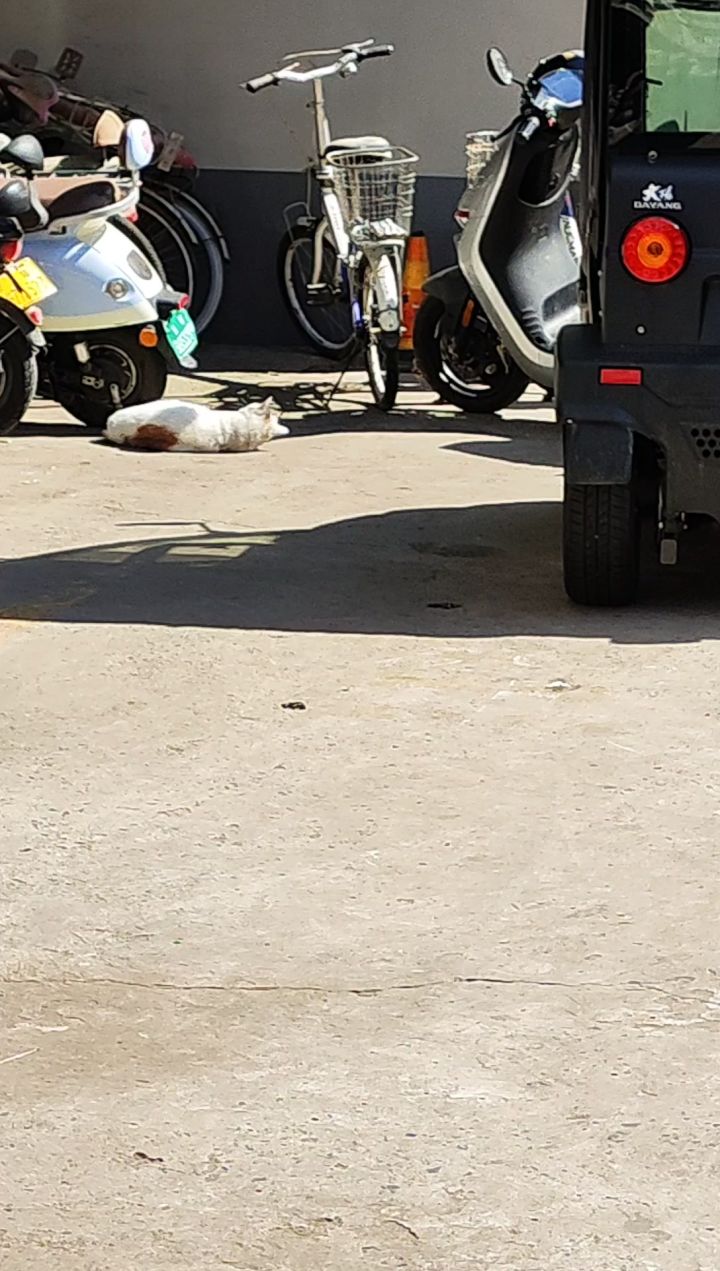 一晚上,十几个小时练功,就这样白给了截图