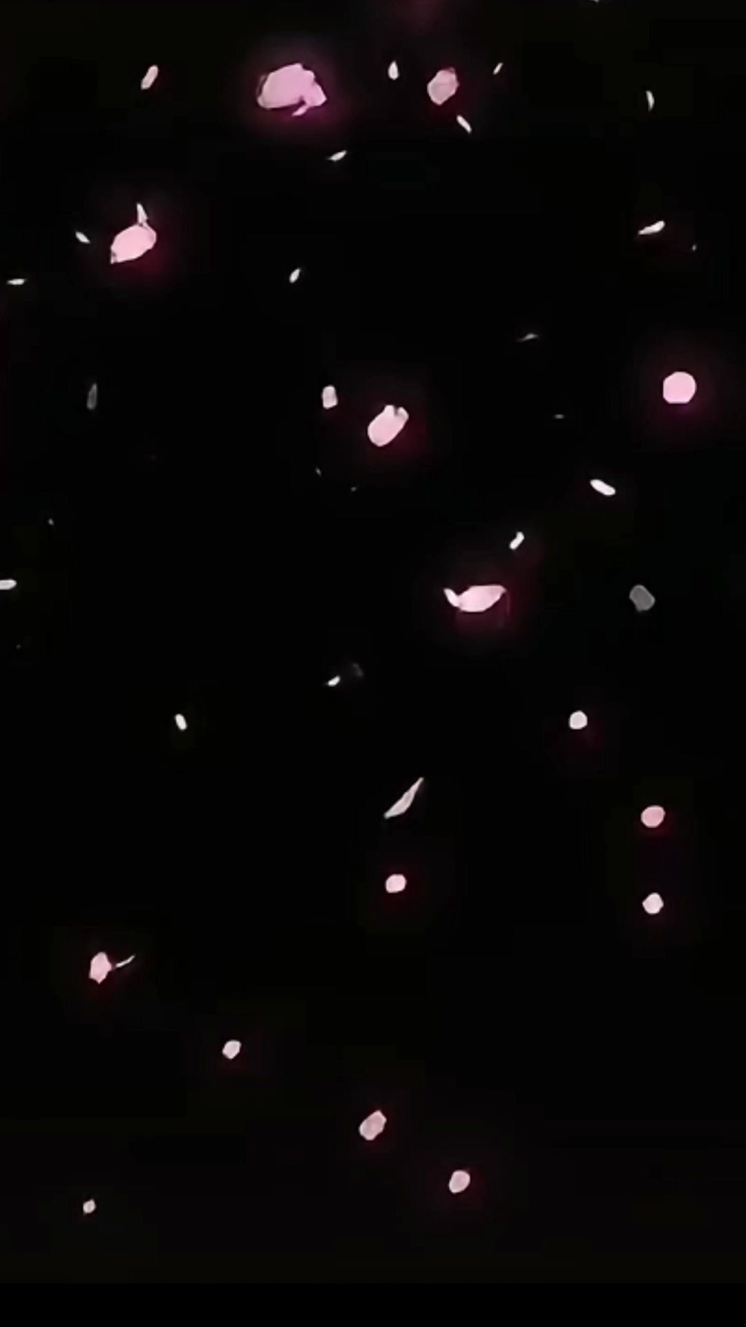 video-4464363