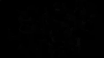 《咒术回战幻影夜行》人物家入硝子PV&动画公布!