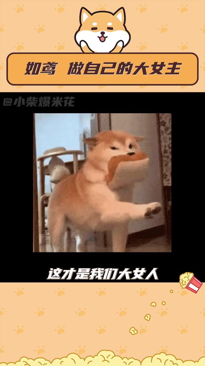video-4467679
