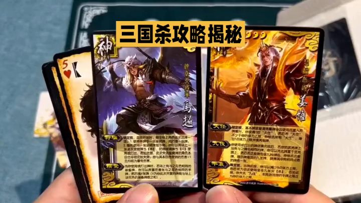 三国杀攻略:智慧与策略的盛宴截图