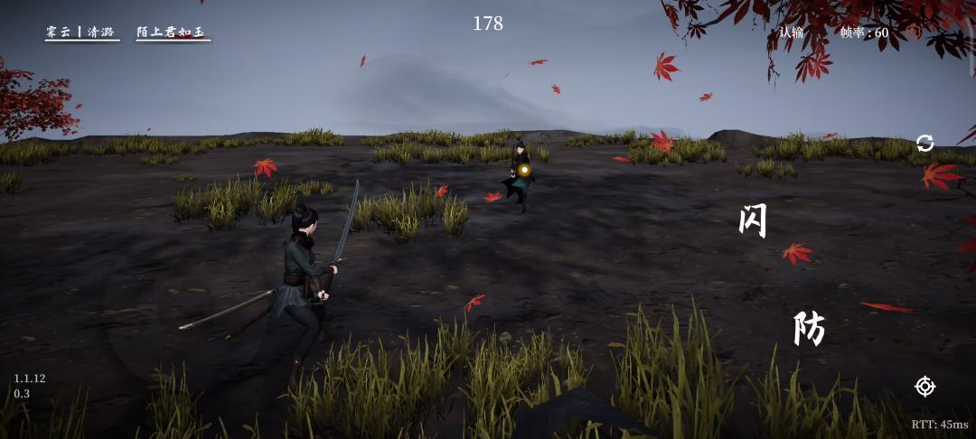 video-4473602