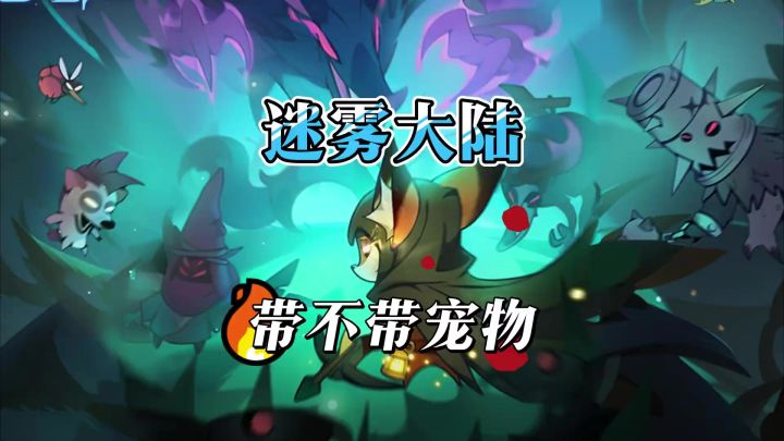 你玩德鲁伊带的哪个宠物?截图