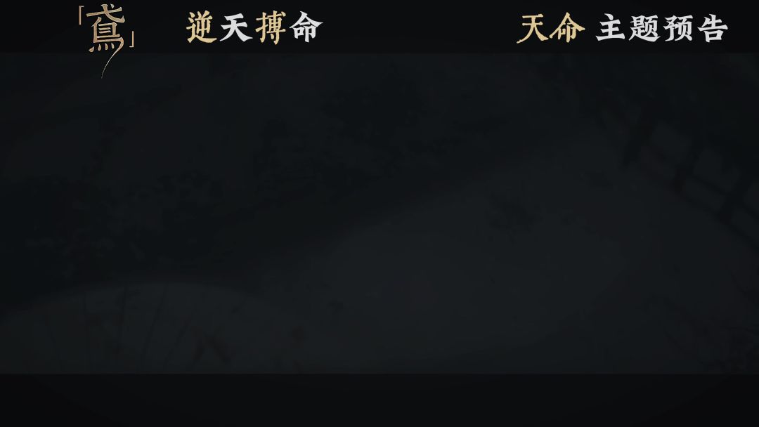 video-4481443