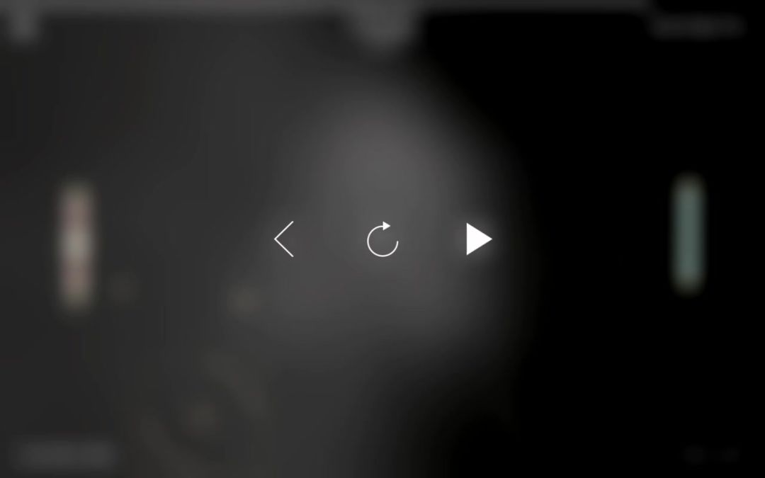 video-4486046