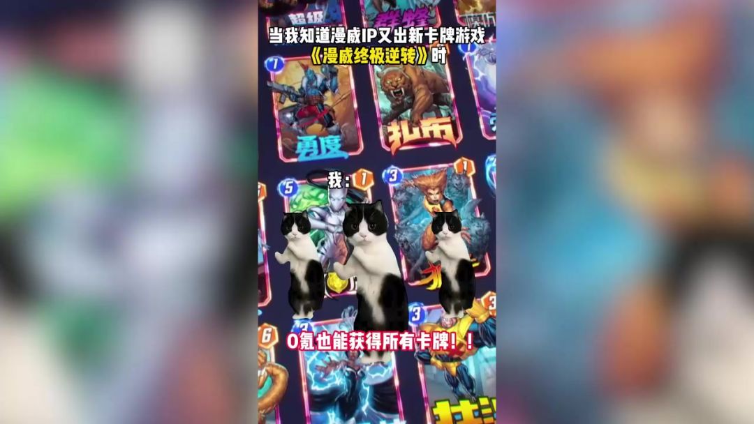video-4491869