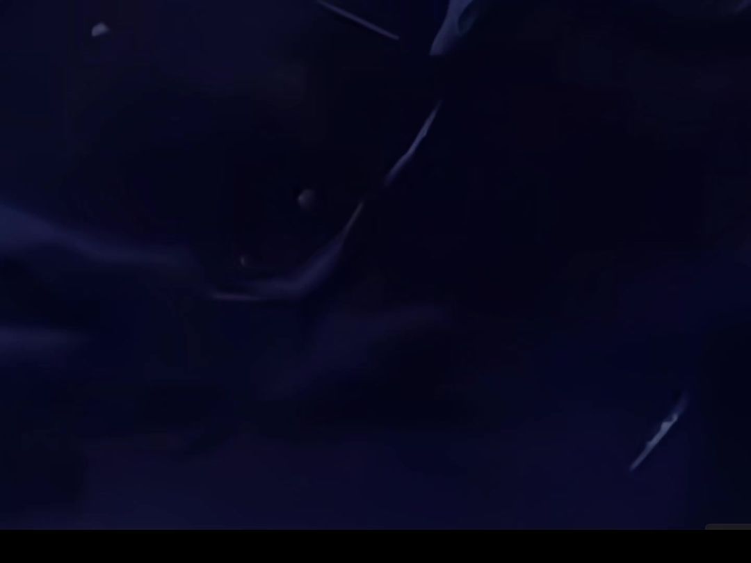 video-4494175