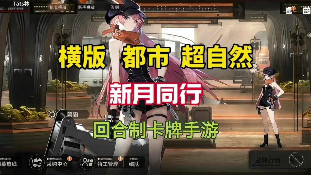 video-4495938