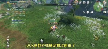 逆水寒野外抓捕宠物攻略来了