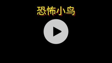 woooooo！恐怖小鸟来咯~