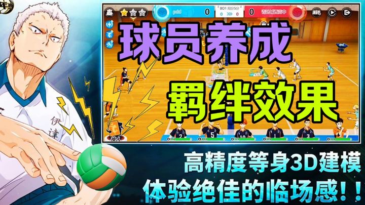 球员养成羁绊效果截图