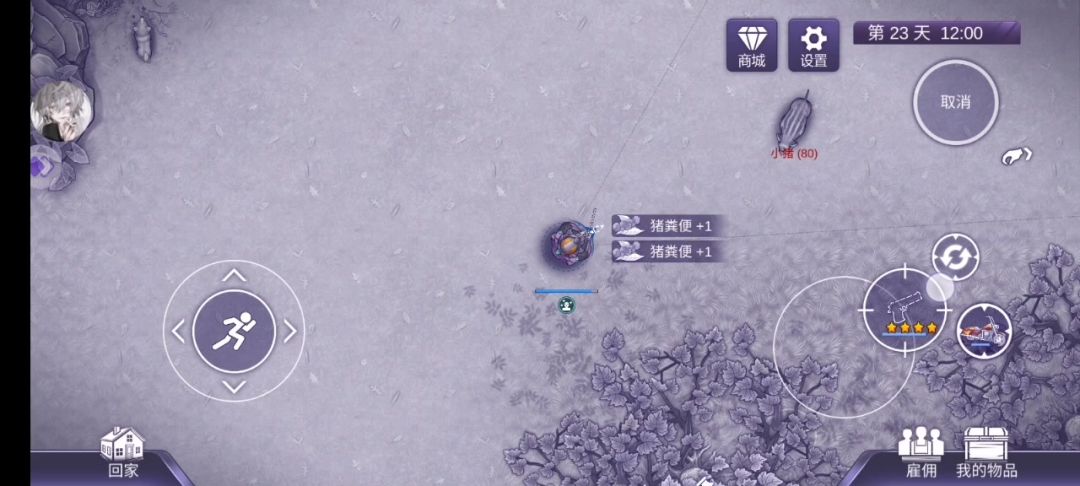 video-4517200