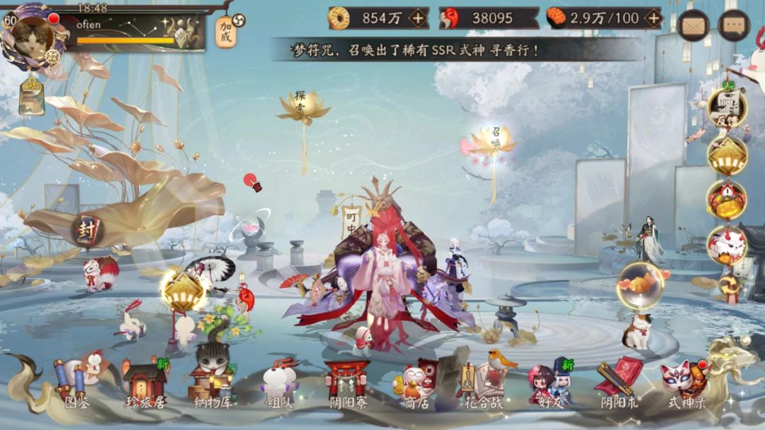 video-4517876