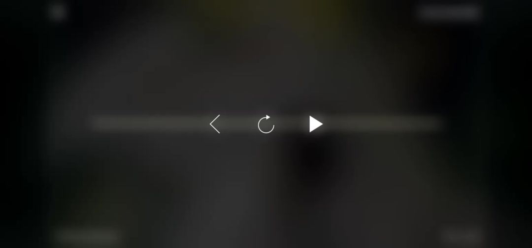video-4523414