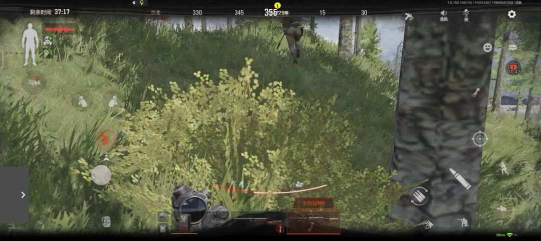 video-4524325