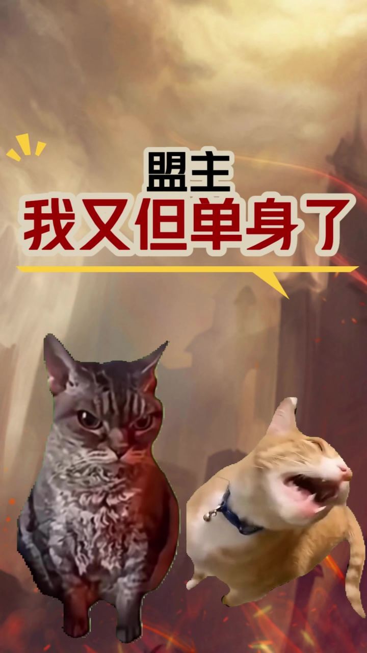 女友不如全红武将截图