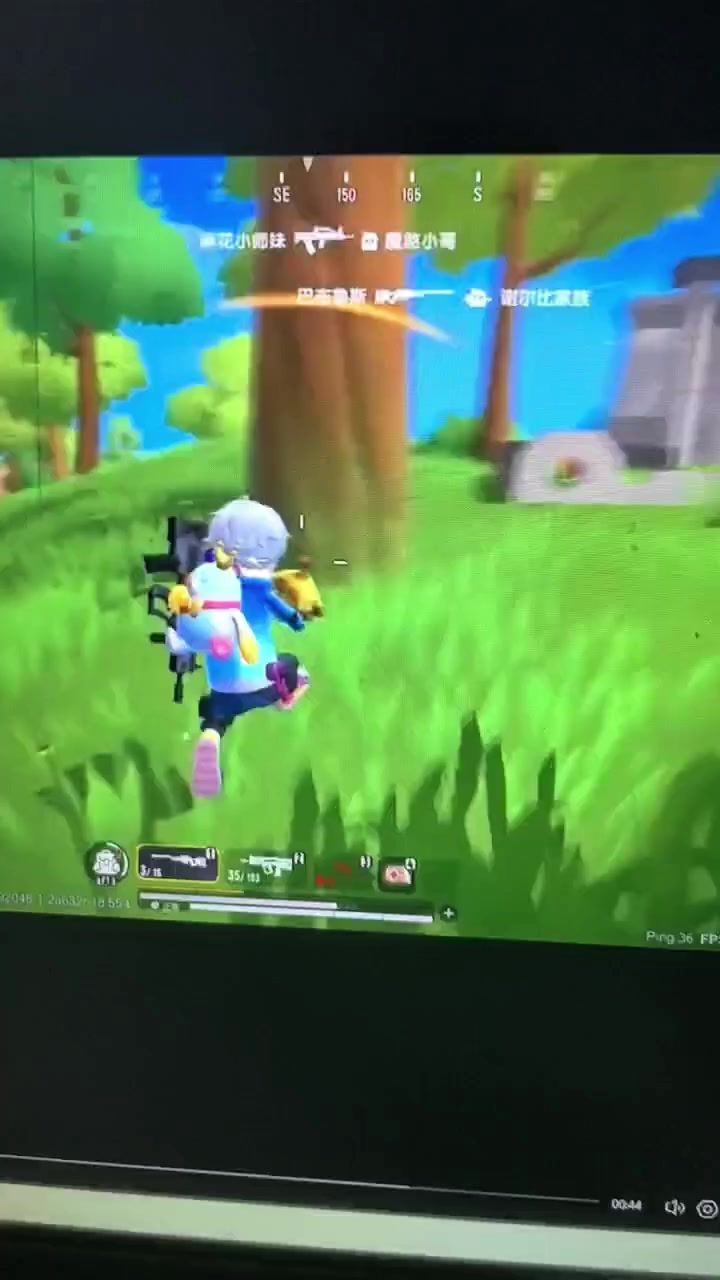 video-4533397
