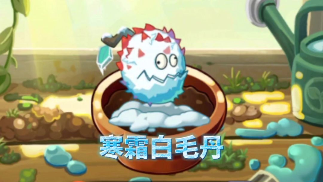 新植物：寒霜白毛丹截图
