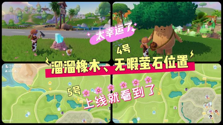 11月8日溜溜橡木、无暇萤石位置截图