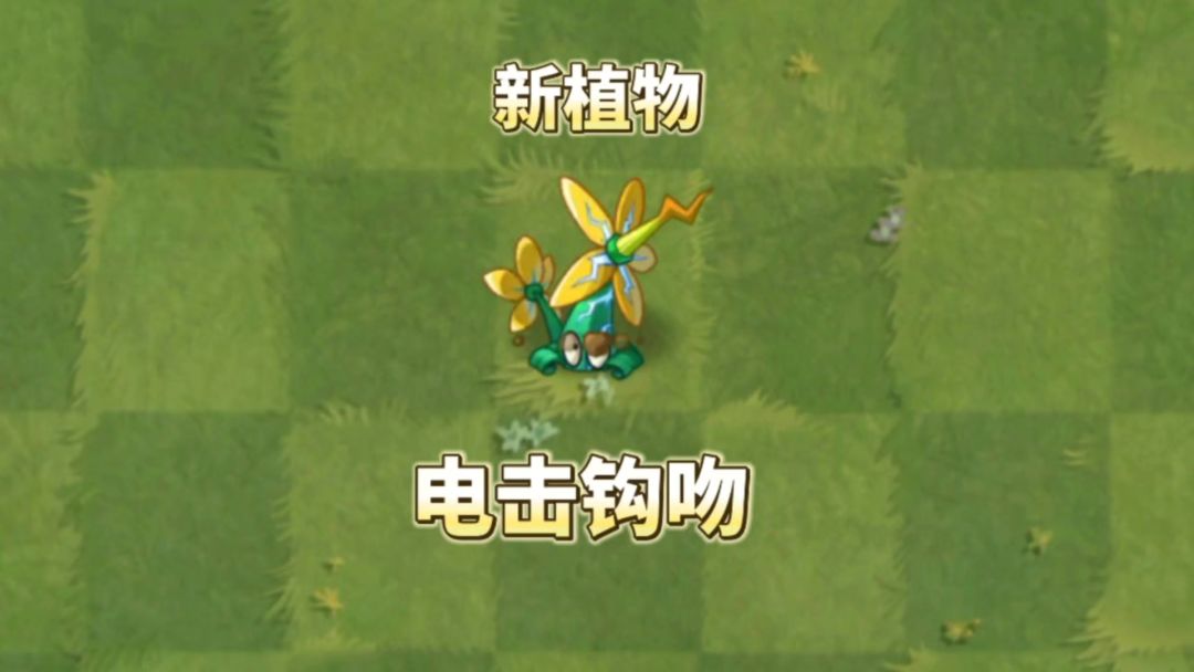 video-4536204