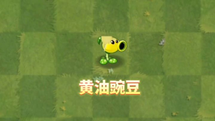 自制植物:黄油豌豆截图