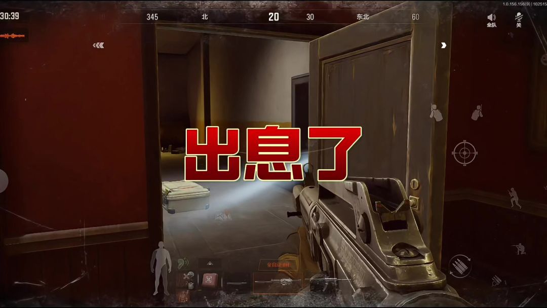 video-4538525