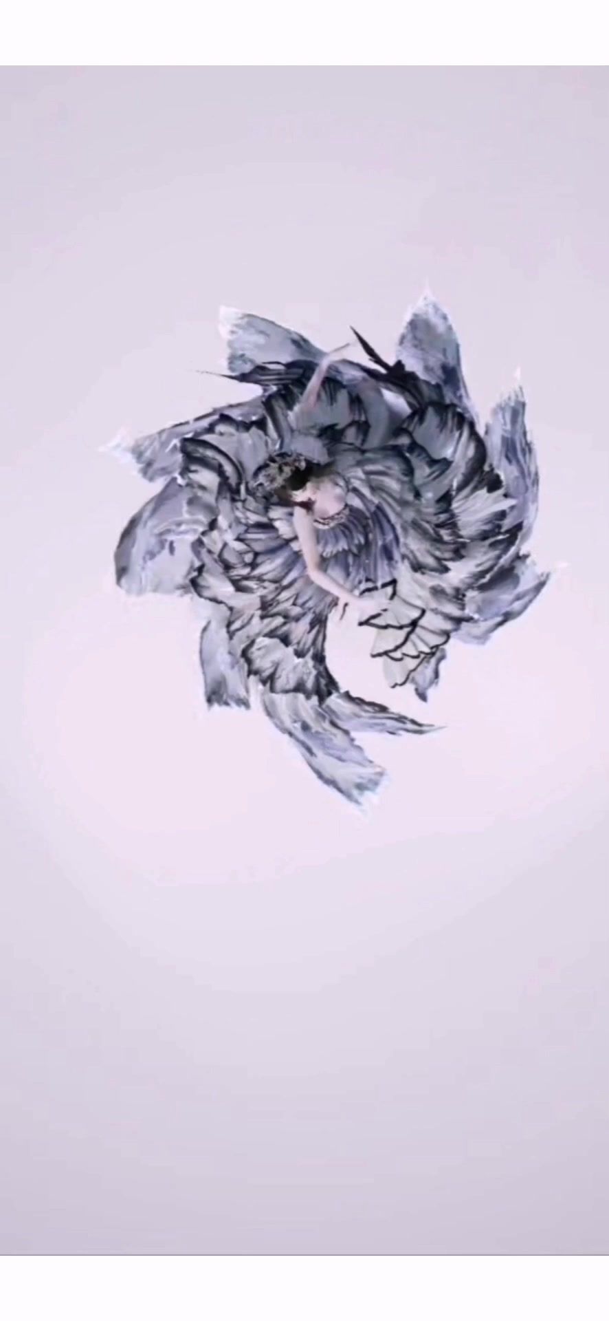 video-4541187