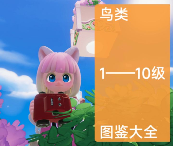 心动小镇观鸟1-10级图鉴大全来啦芜湖截图