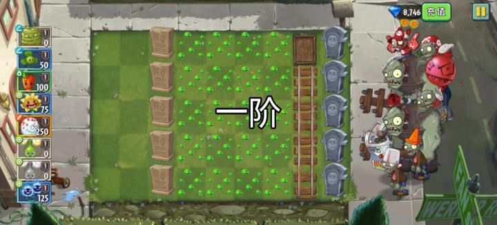 新植物寒霜白毛丹实战测评截图