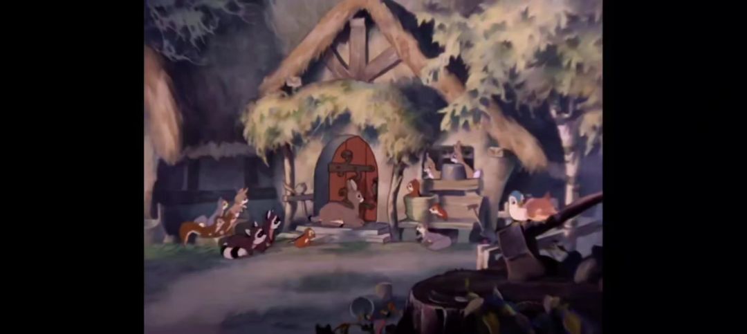 video-4550776