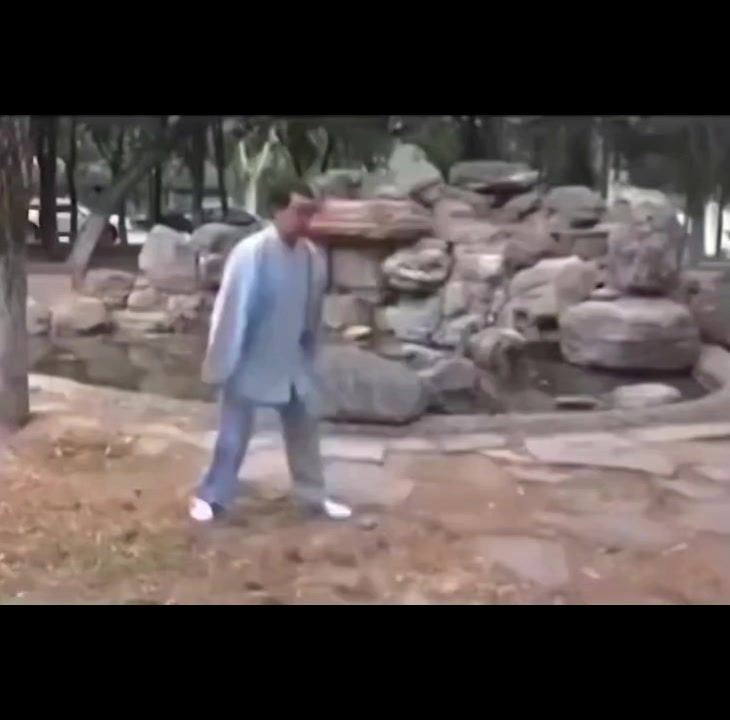 video-4551323